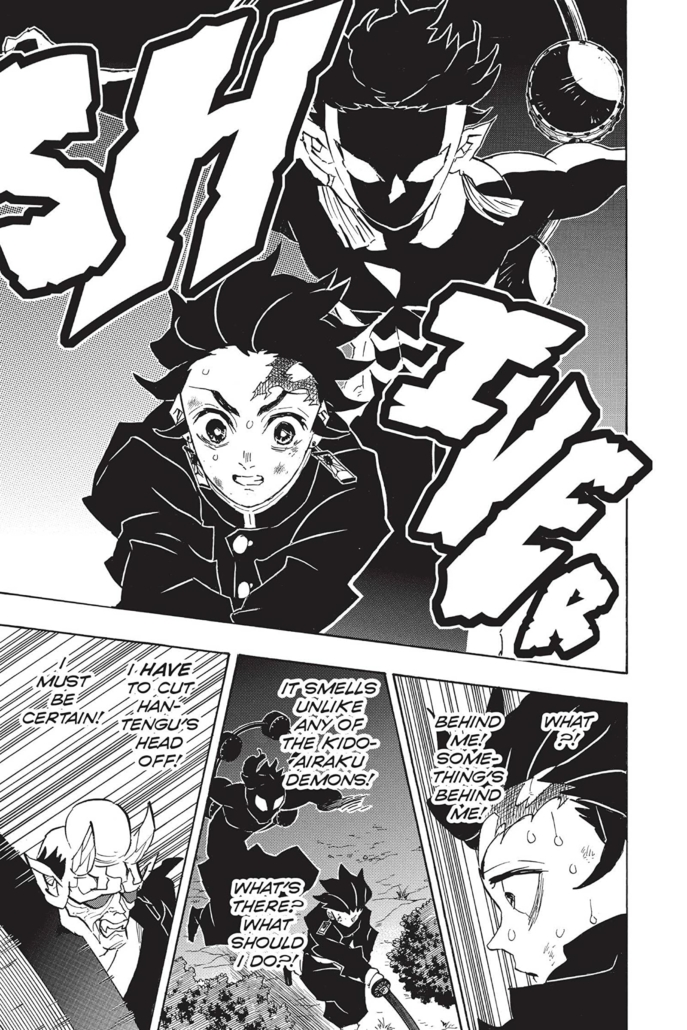 Demon Slayer Kimetsu No Yaiba 14 De Stripkever