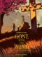 Gone with the wind HC